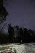 Die Sterne der Sternbilder Orion, Stier, Zwillinge; München - Perlacher Forst, (Brunnen Oberbiberger Straße), 20 Sek., 10mm, F3,5, ISO 640