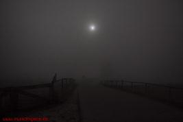 Mond im Nebel, Ludwigshöhe; SLR; 20 Sek. 17mm, F3,2; ISO400 (4188)